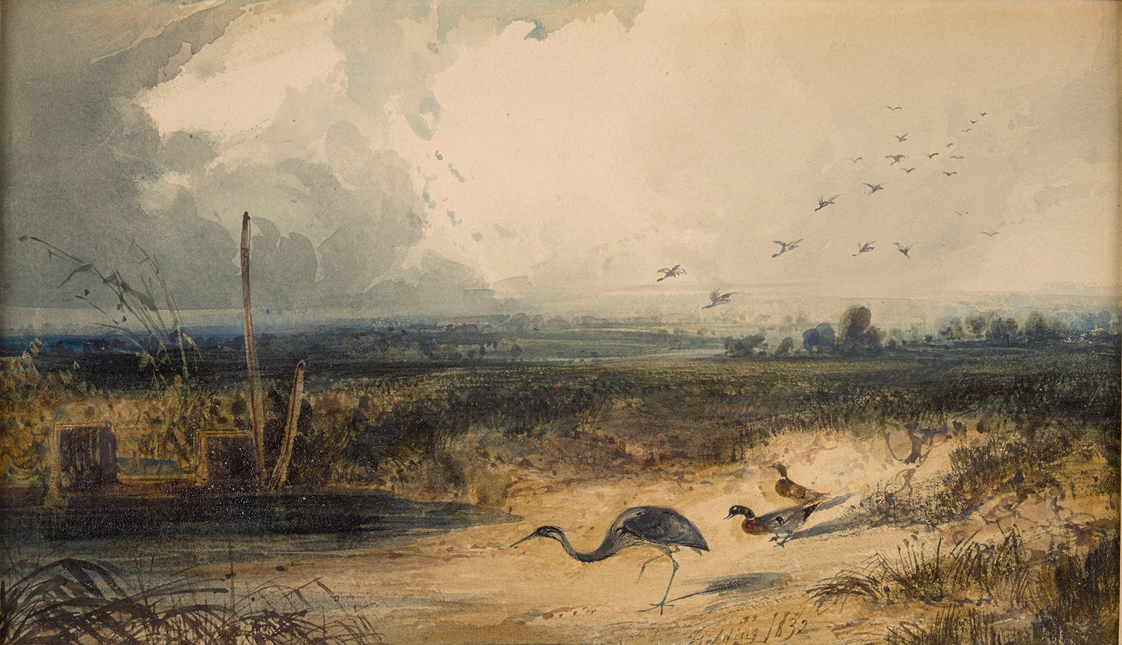 Oiseaux au bord d'un étang