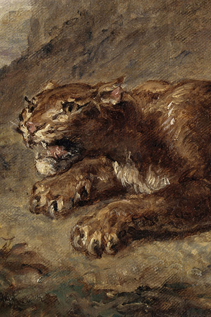 The animals have slipped out ! For its 20th anniversary the Grande Galerie de l’Evolution has broken into the Musée Eugène-Delacroix